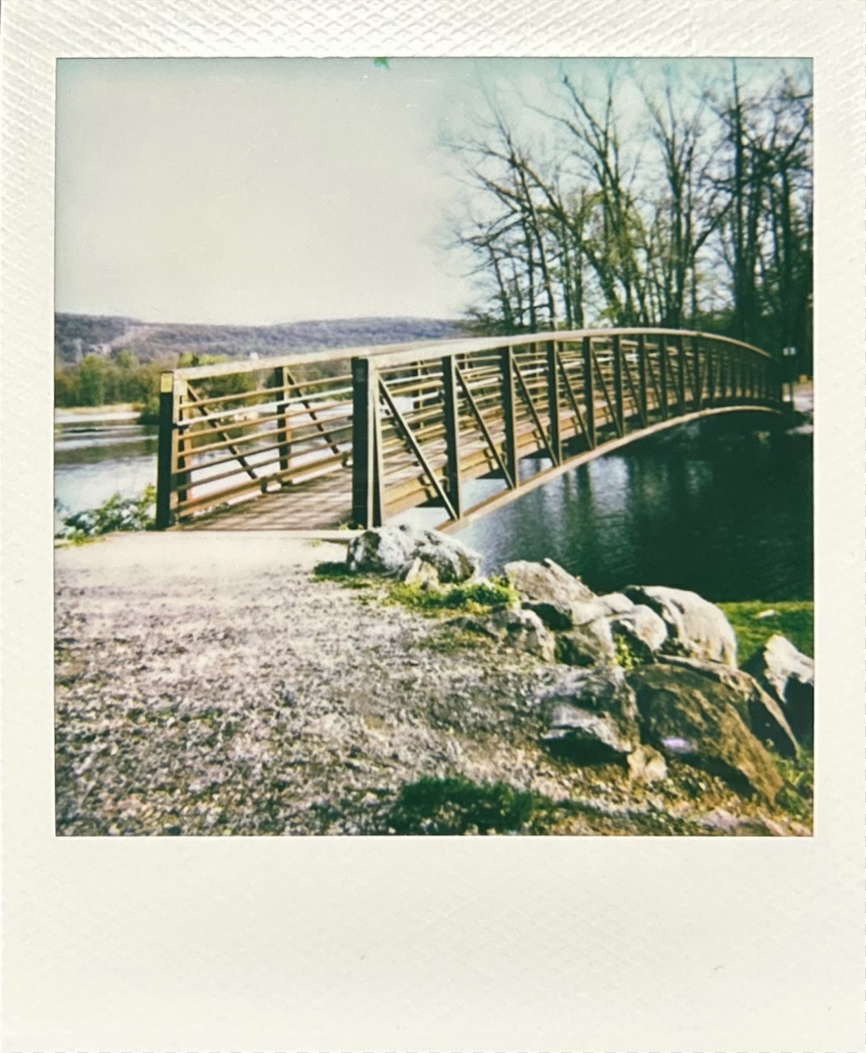 Polaroid photograph 5 by Michael Colin