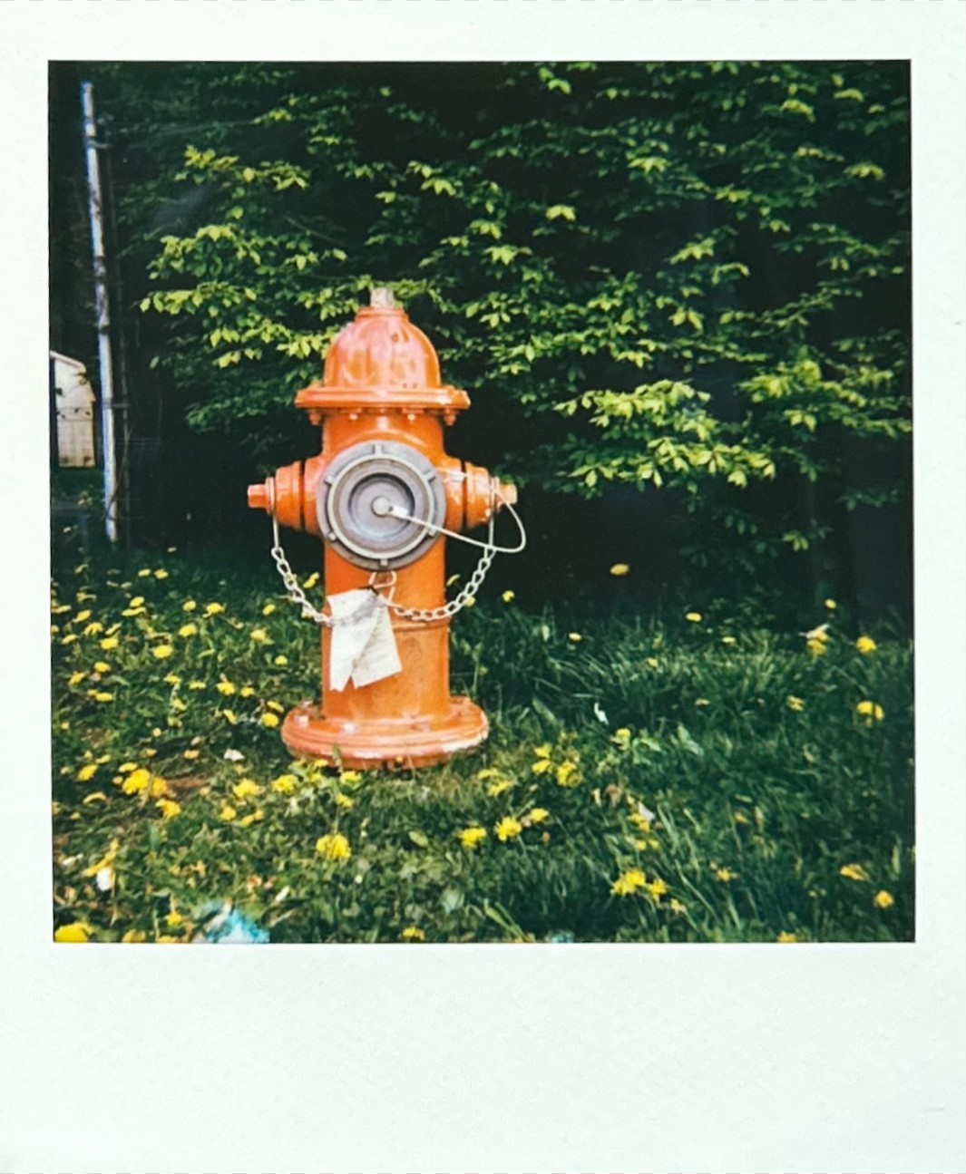 Polaroid photograph 11 by Michael Colin