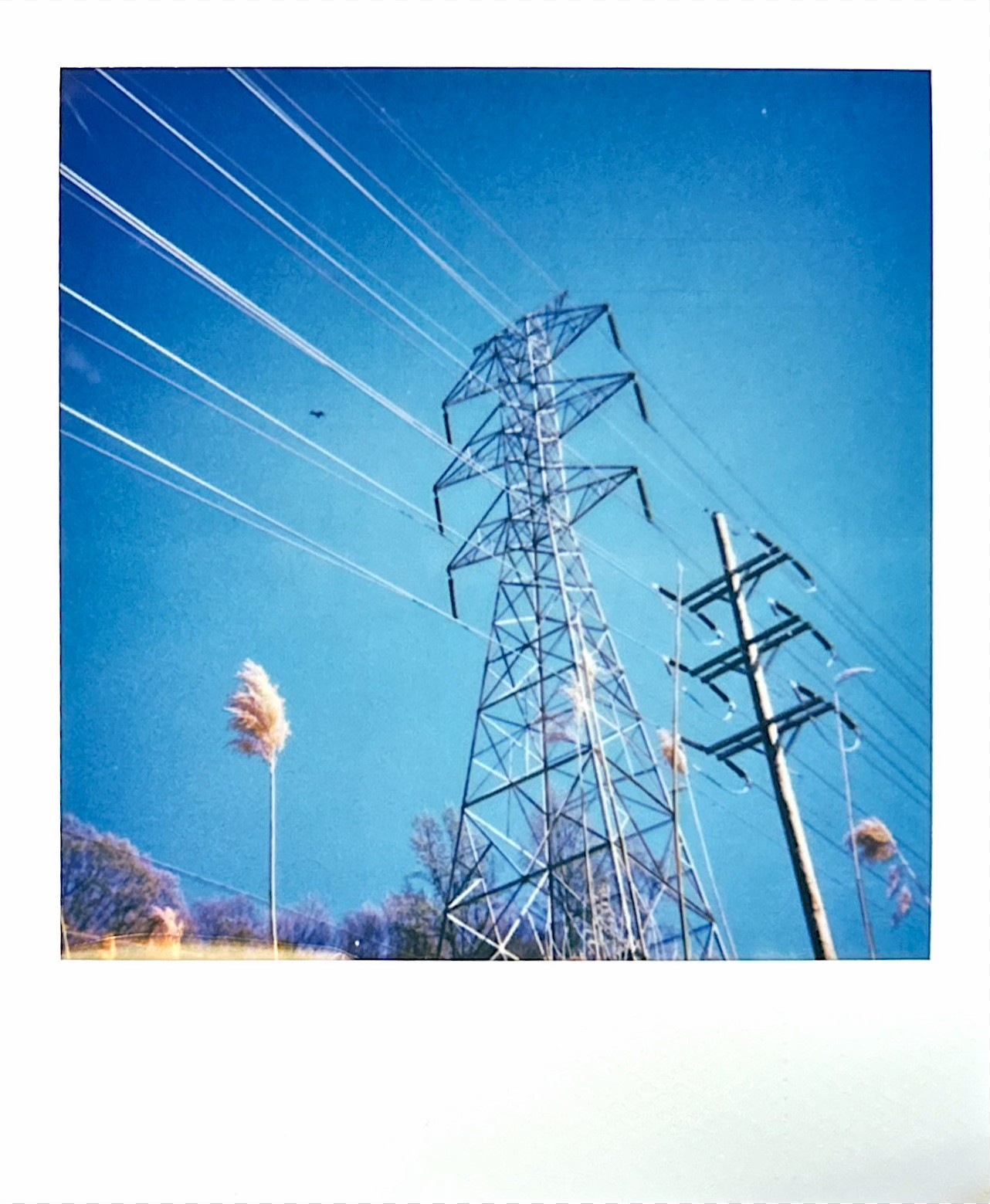 Polaroid photograph 13 by Michael Colin
