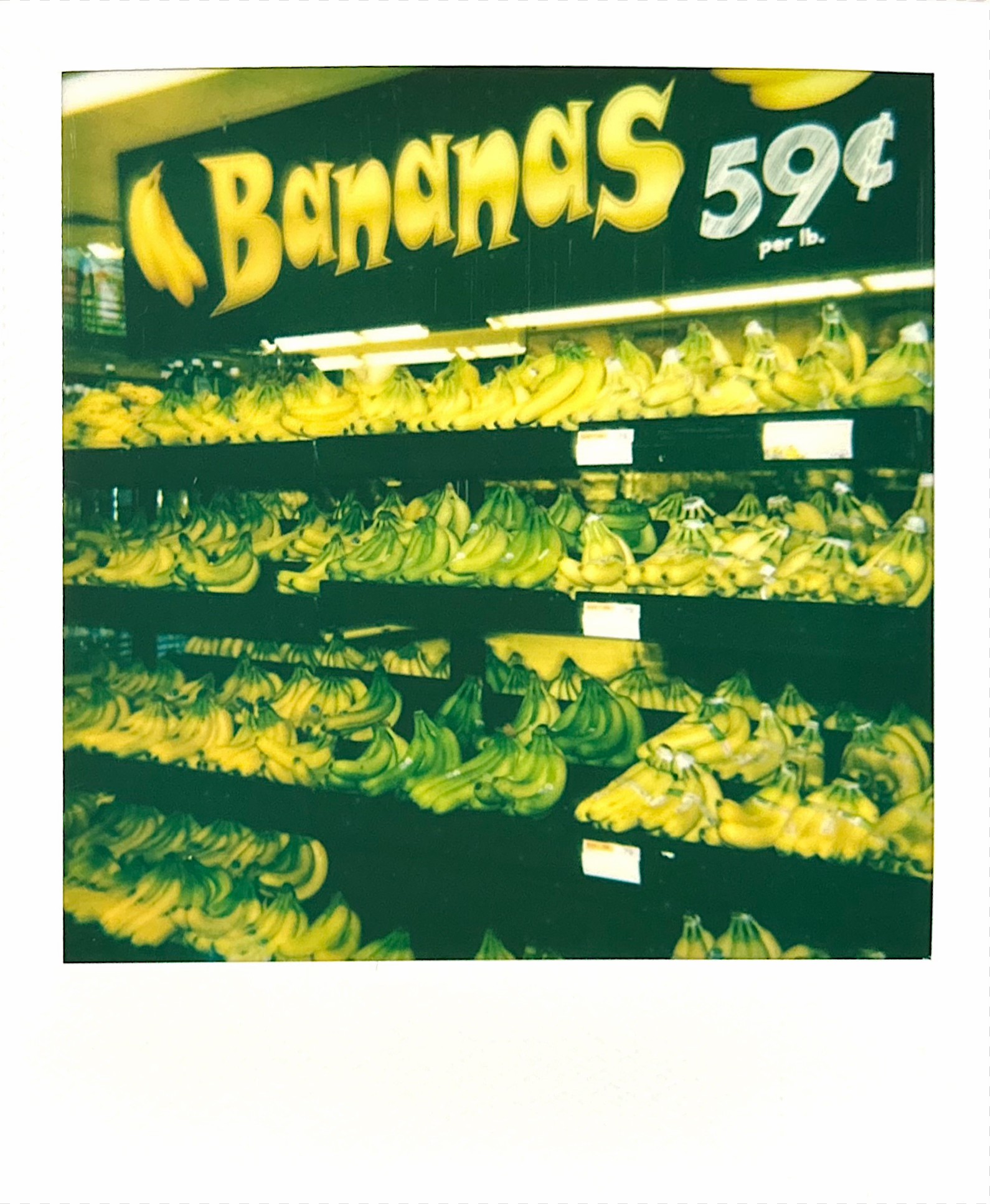 Polaroid photograph 19 by Michael Colin