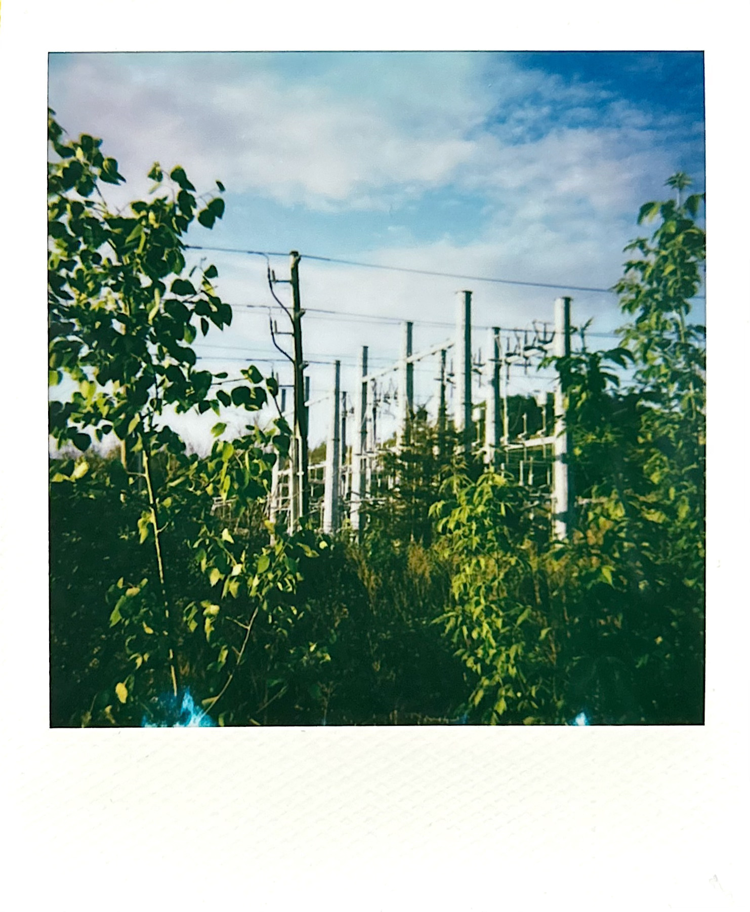 Polaroid photograph 26 by Michael Colin
