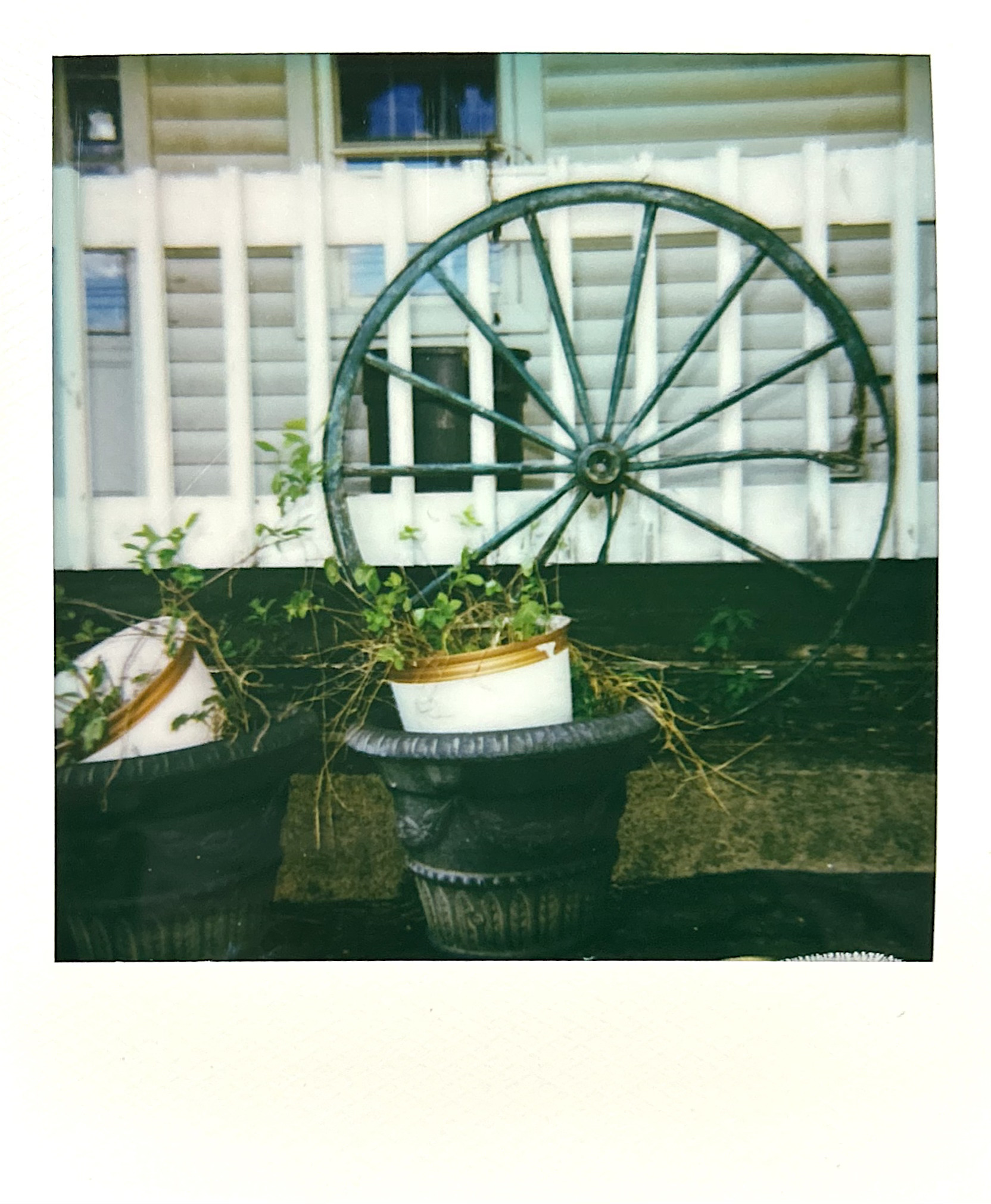 Polaroid photograph 29 by Michael Colin