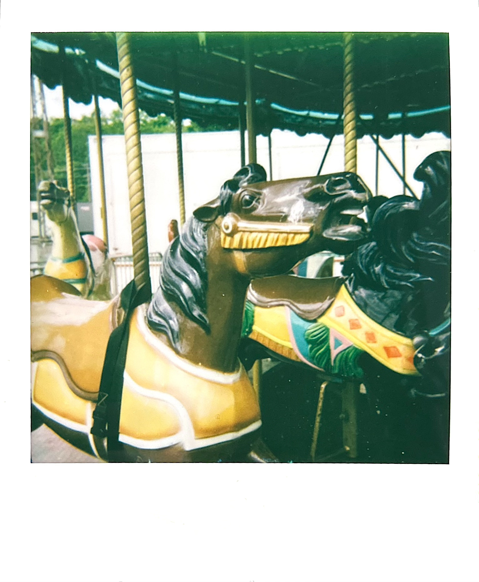 Polaroid photograph 36 by Michael Colin