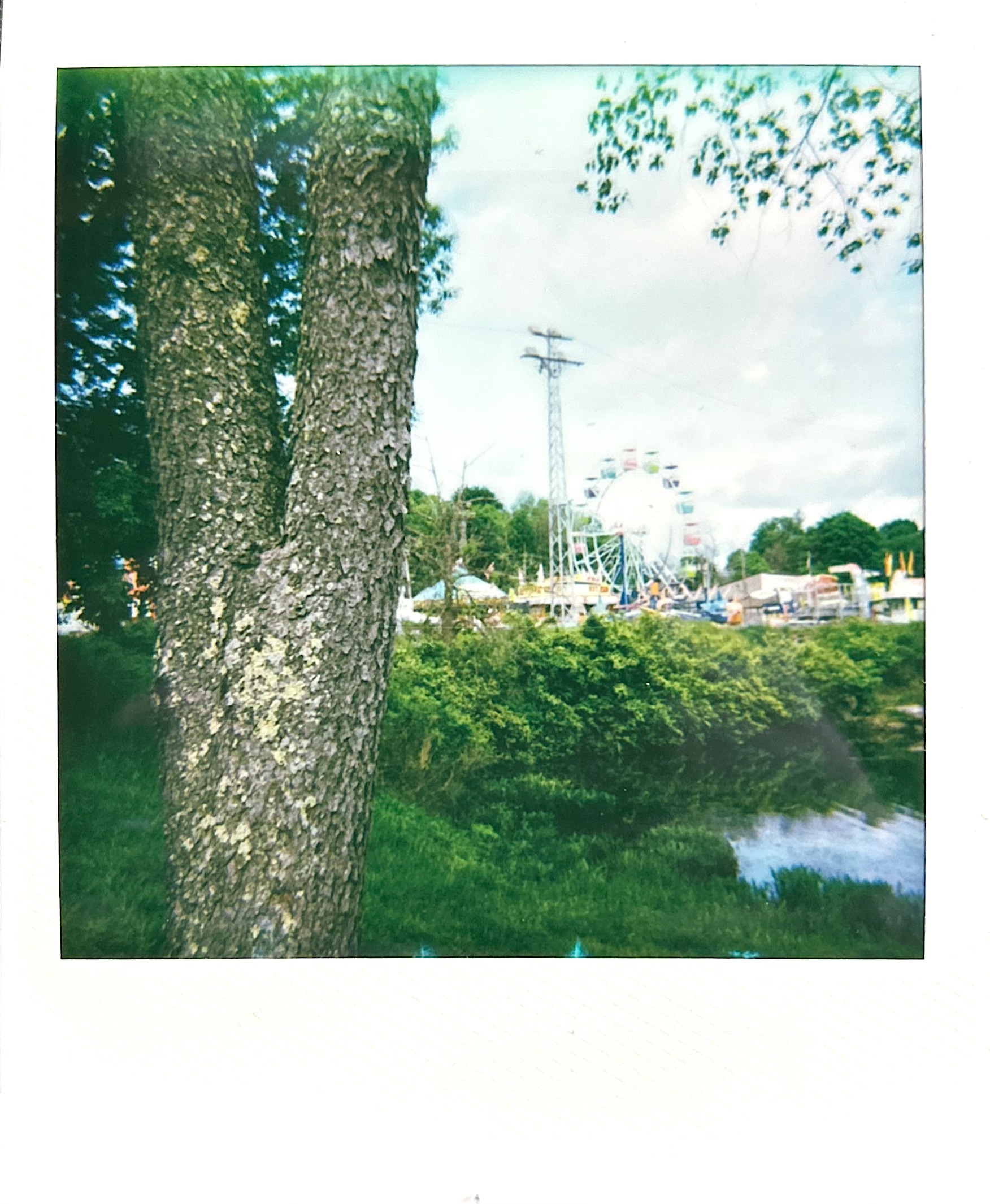 Polaroid photograph 38 by Michael Colin