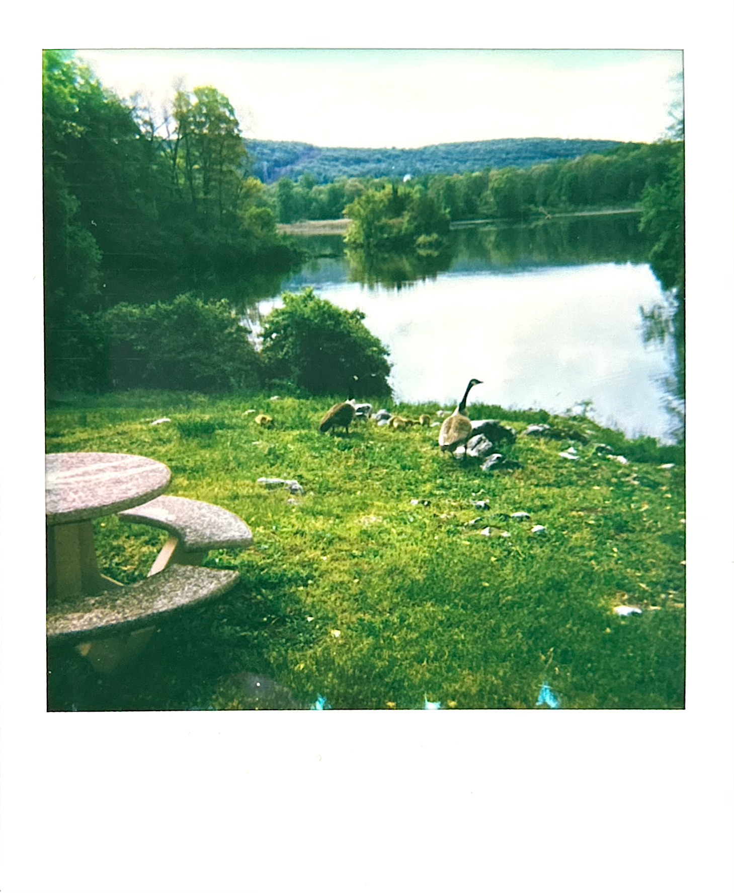 Polaroid photograph 42 by Michael Colin