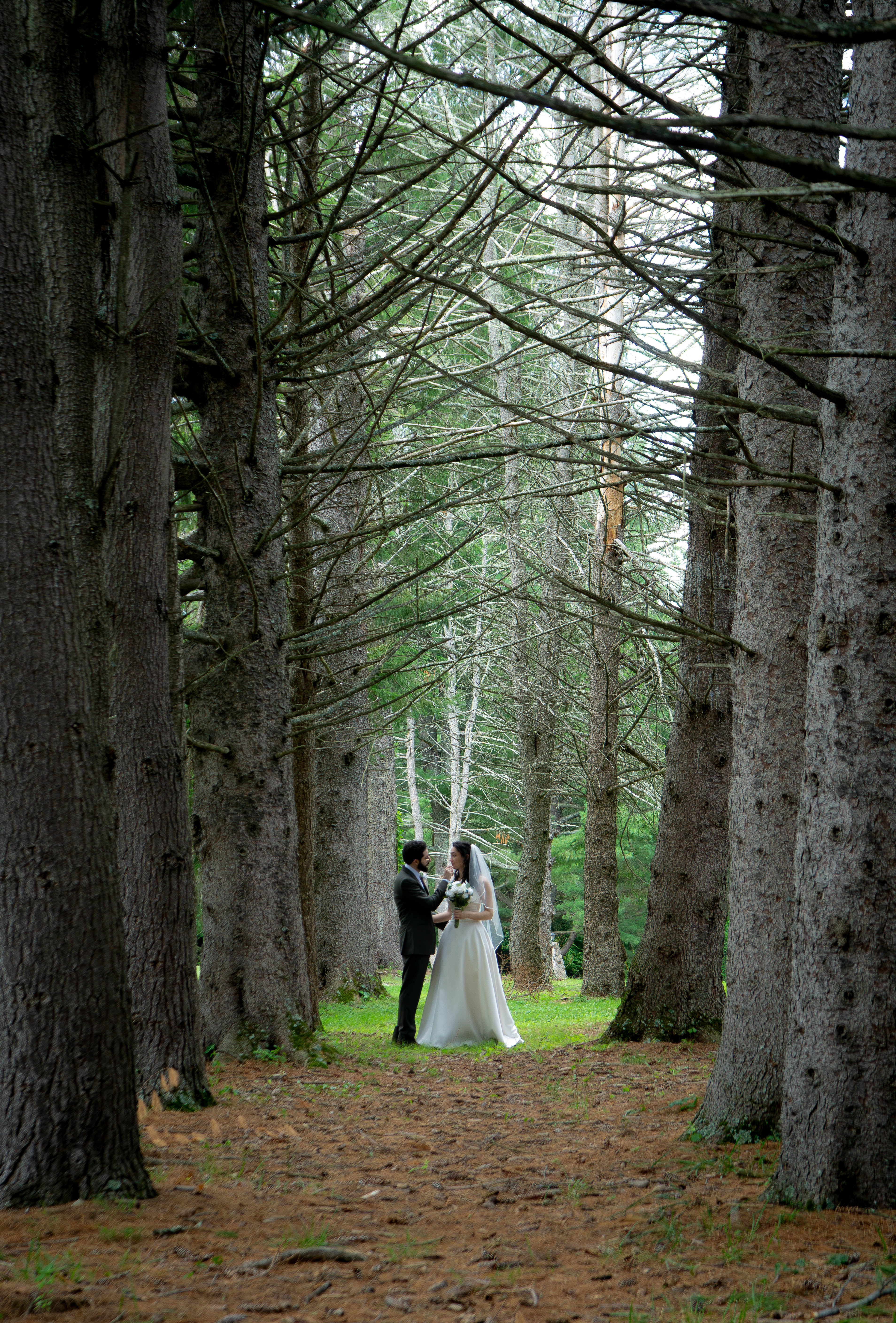 Wedding photography by Michael Colin